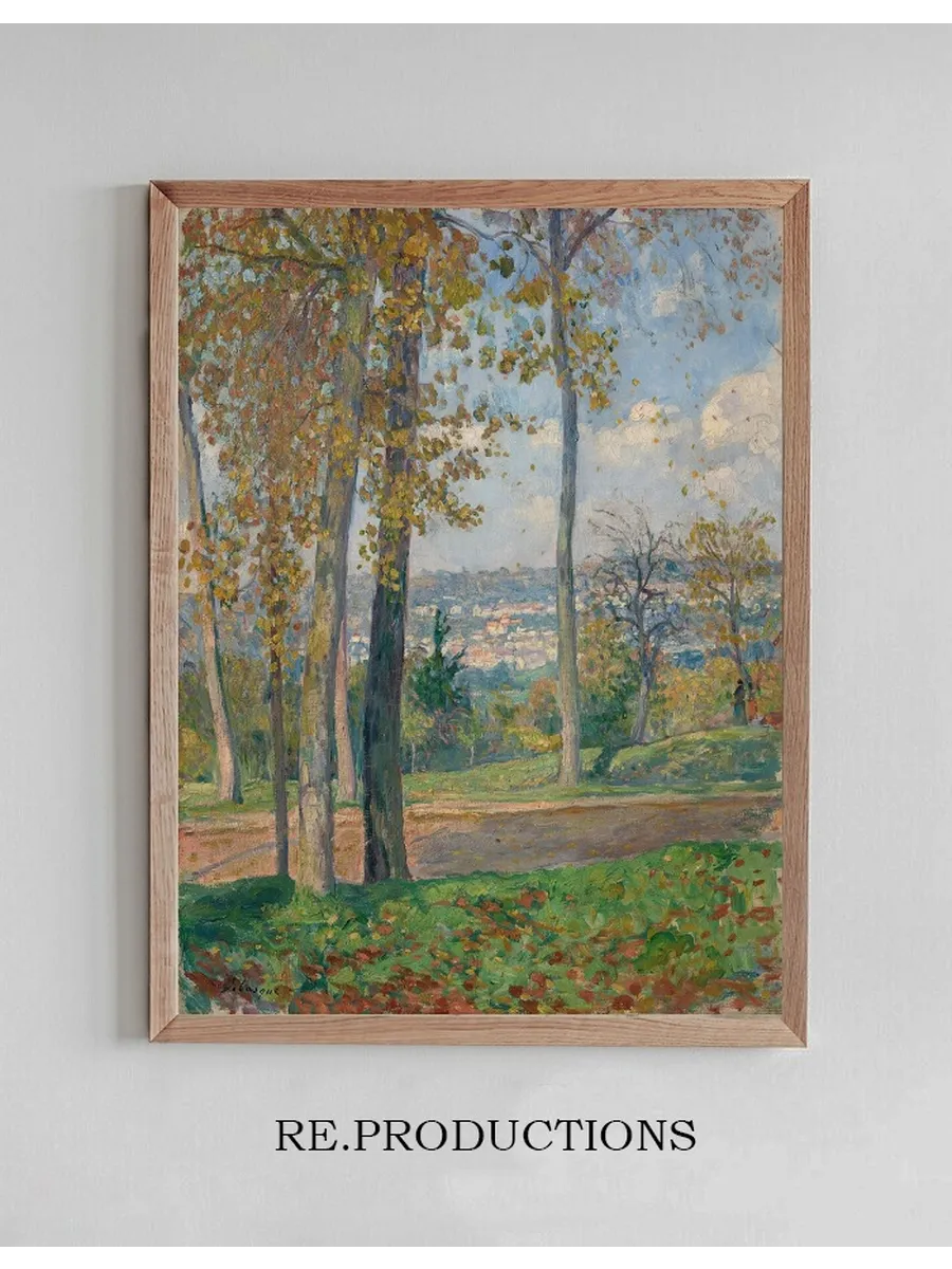 Vue du Parc de Saint - Cloud