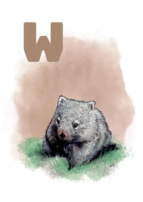 W Beige Wombat