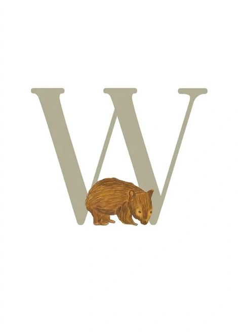 W - Wombat