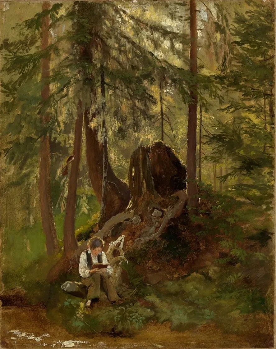 Waldinneres Mit Lesendem Knaben