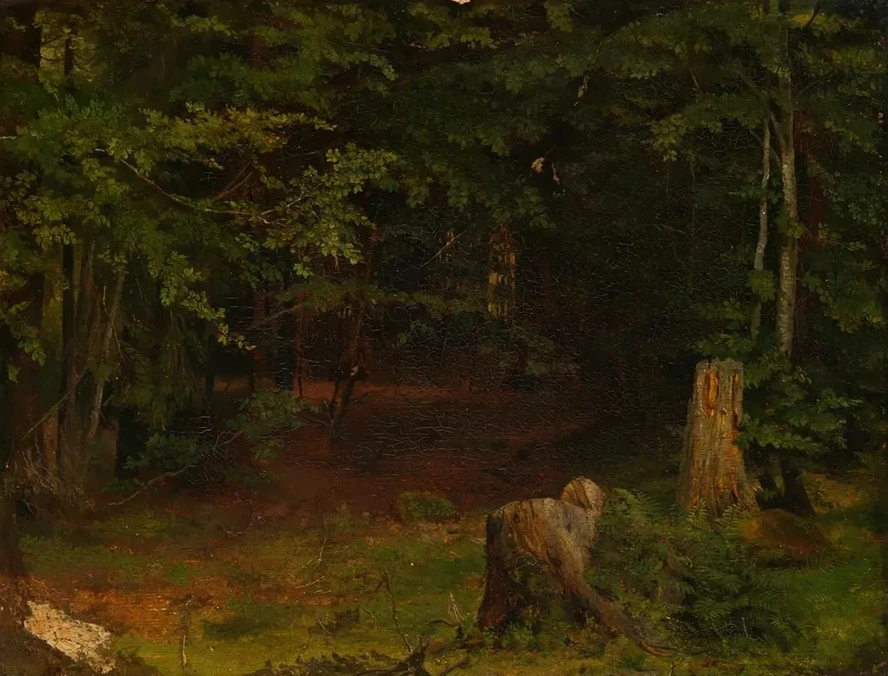 Waldinneres