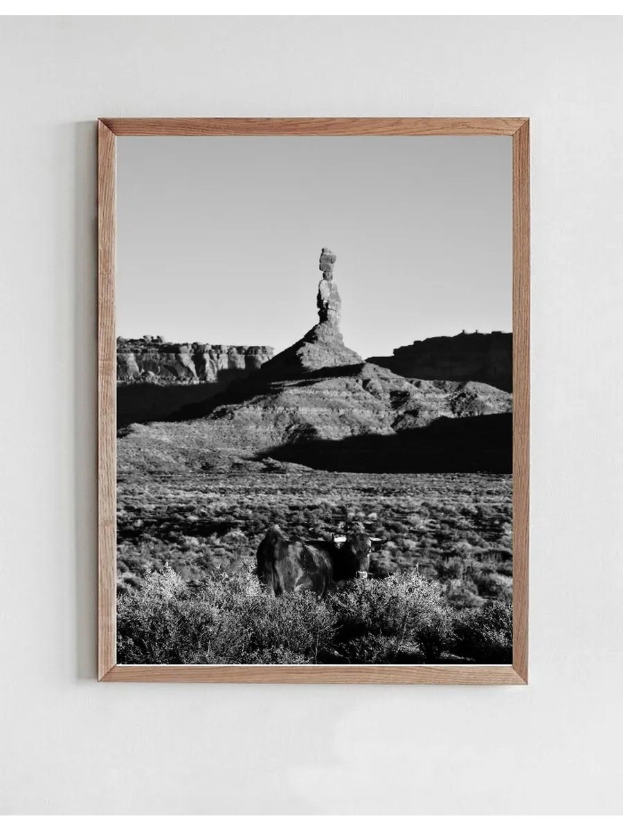 Wandering in Valley Of The Gods