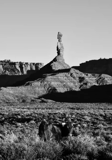 Wandering in Valley Of The Gods
