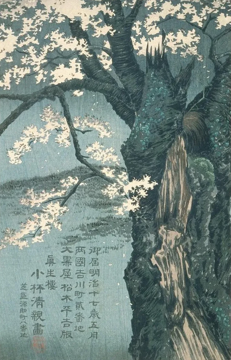 Warrior Taira No Tadanori About to Sleep Under a Cherry Tree