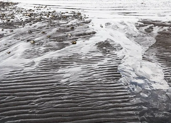 Washed by the Tide