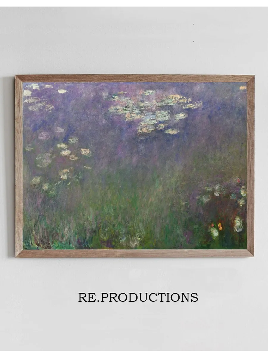 Water Lilies (Agapanthus)