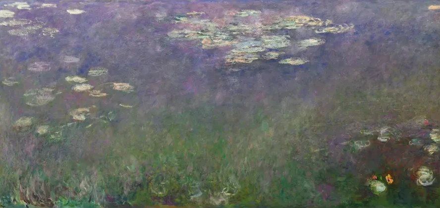 Water Lilies (Agapanthus)