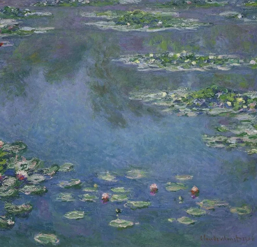 Water Lilies