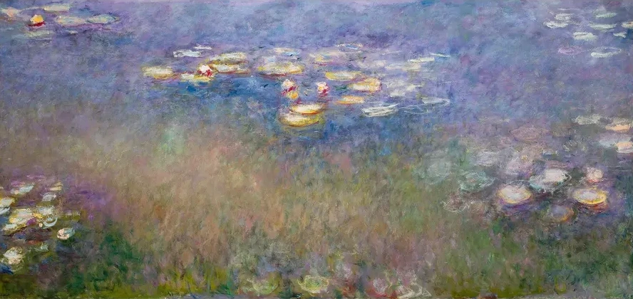 Water Lilies