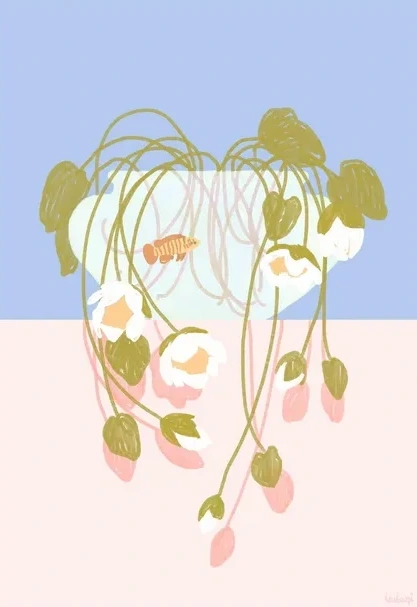 Water Lillies