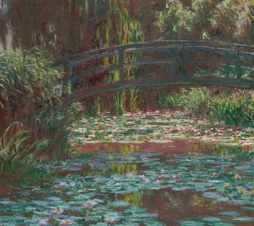 Water Lily Pond