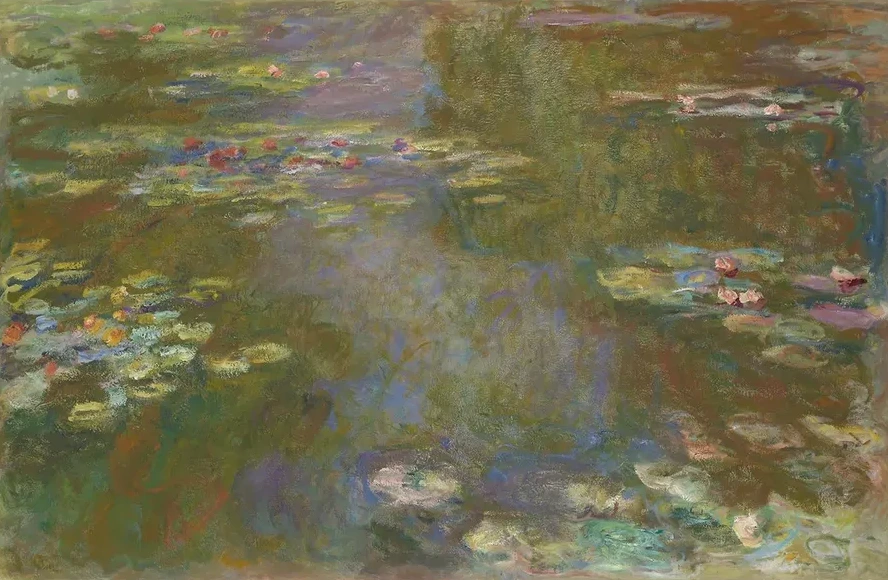 Water Lily Pond