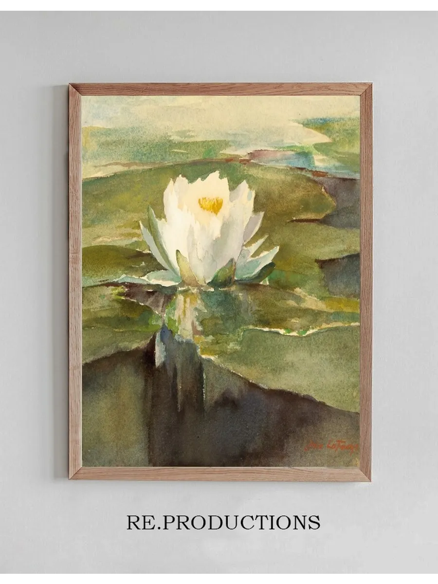 Water Lily in Sunlight