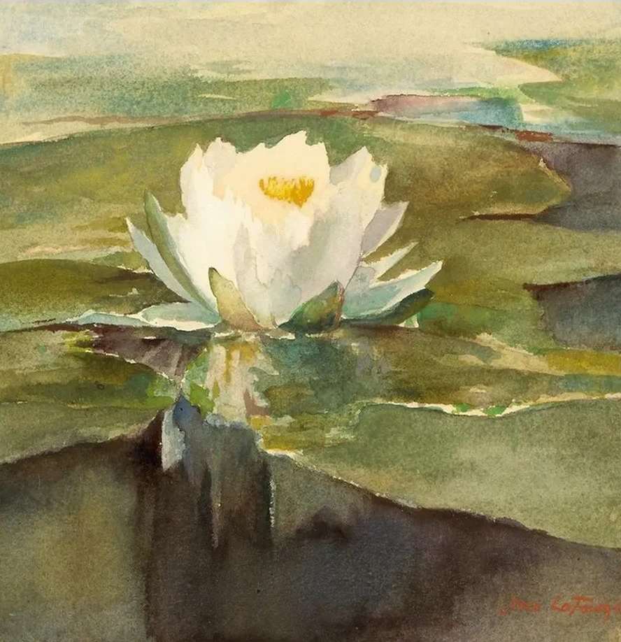 Water Lily in Sunlight