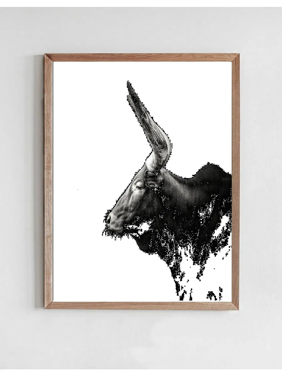 Watusi