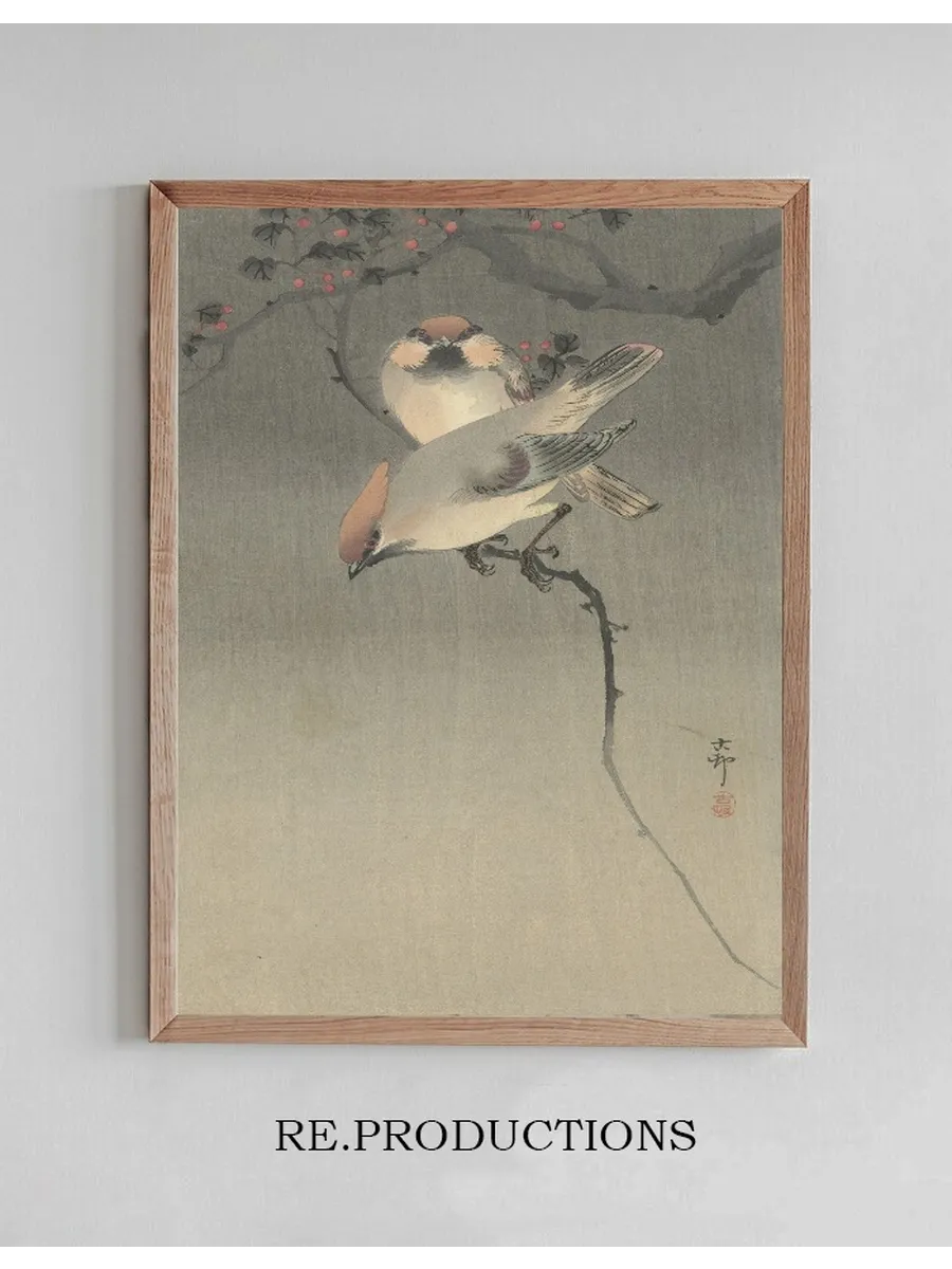 Waxwing Birds
