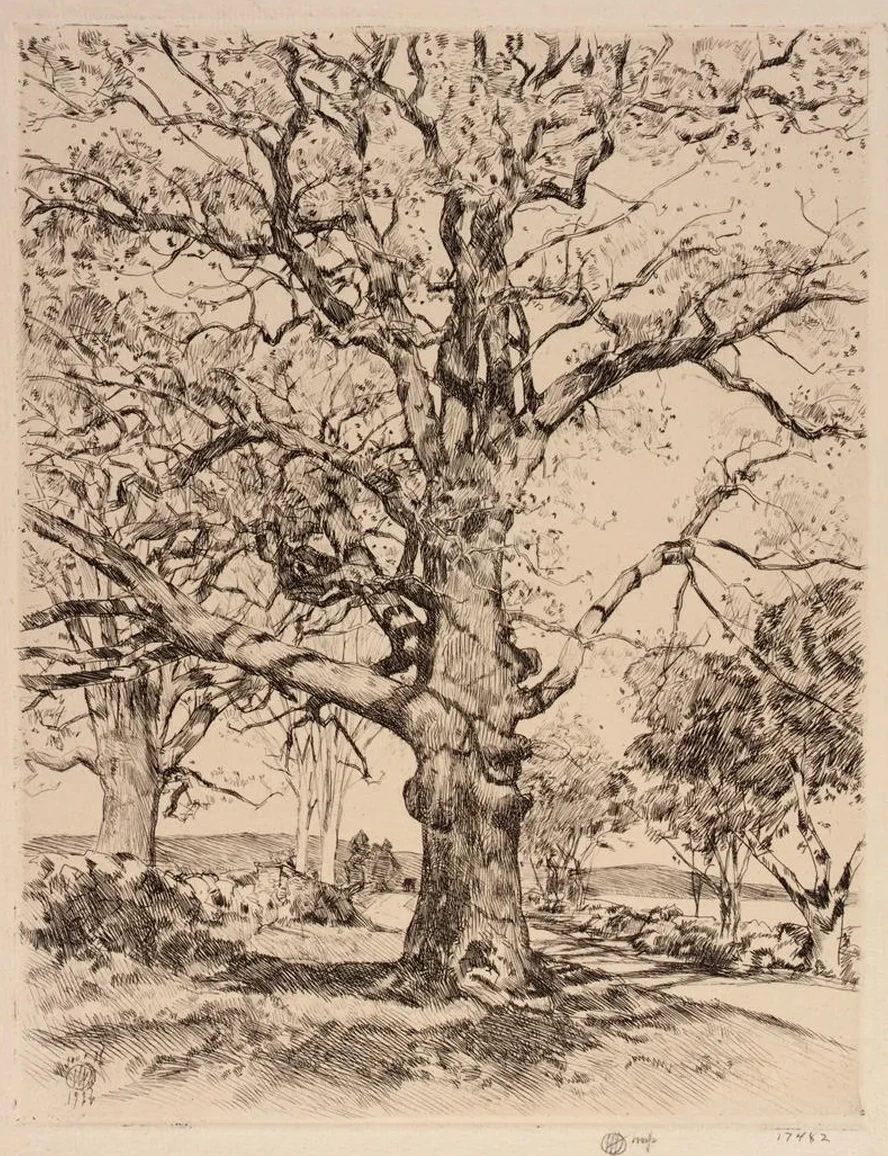 Wayside Inn Oaks in Spring