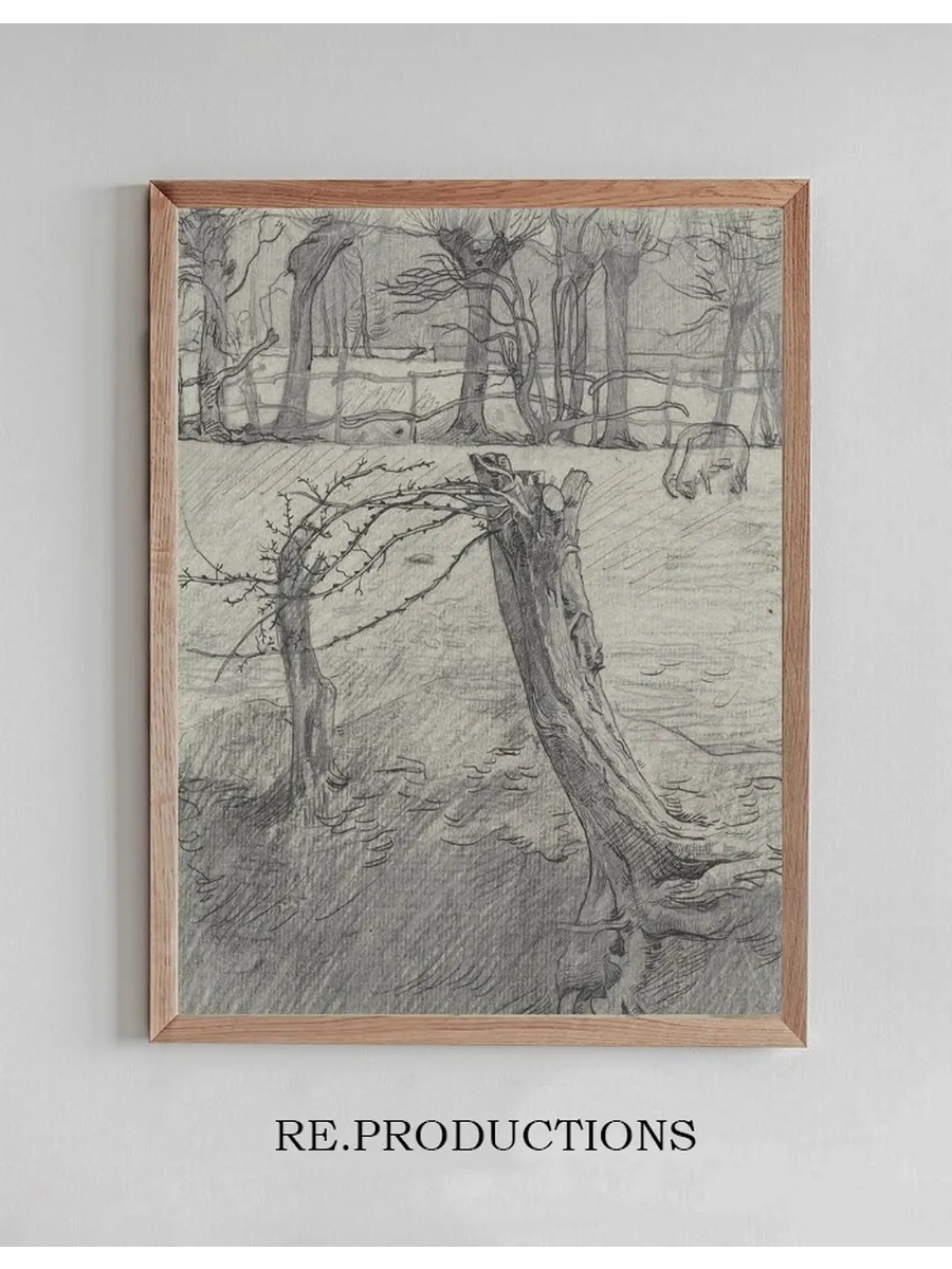 Weidelandschap Met Wilgen