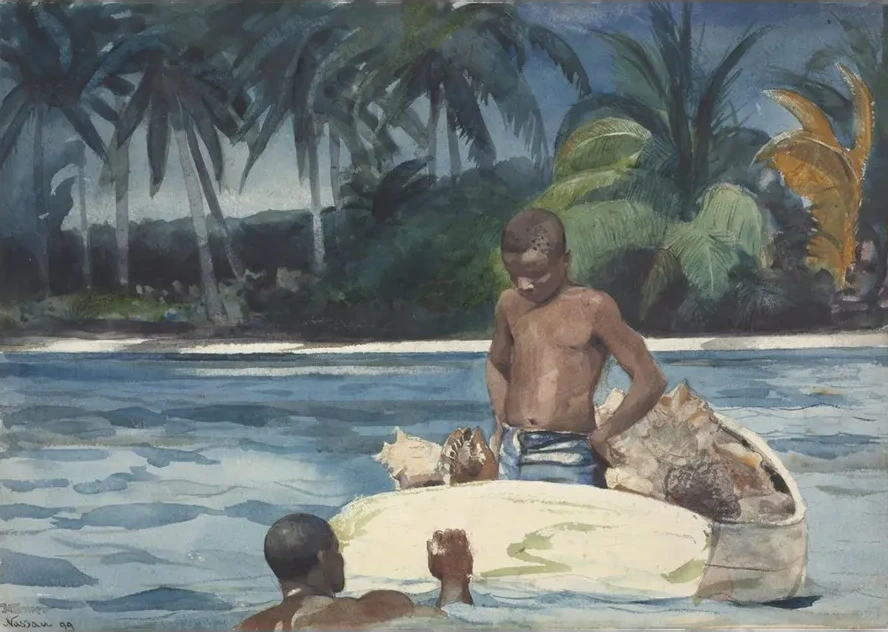 West India Divers