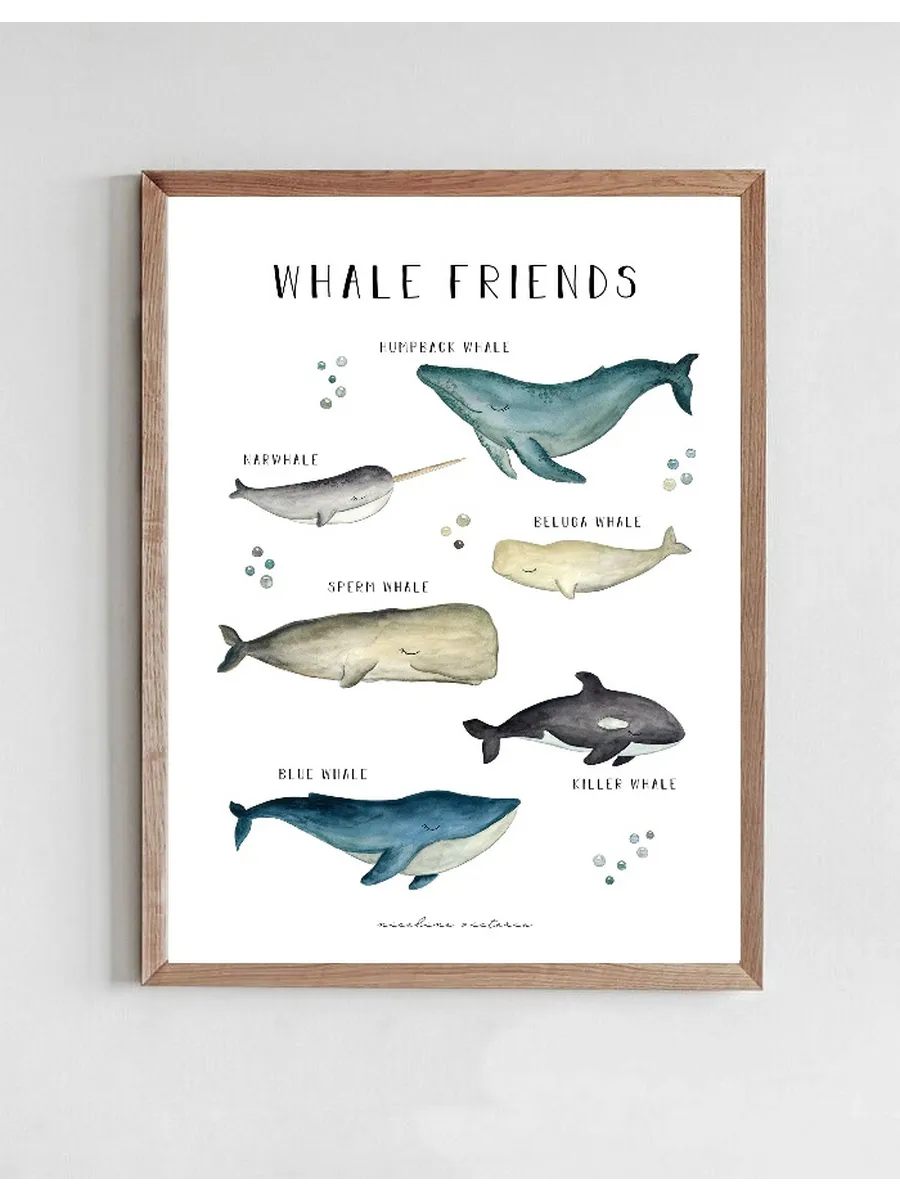 Whale Friends
