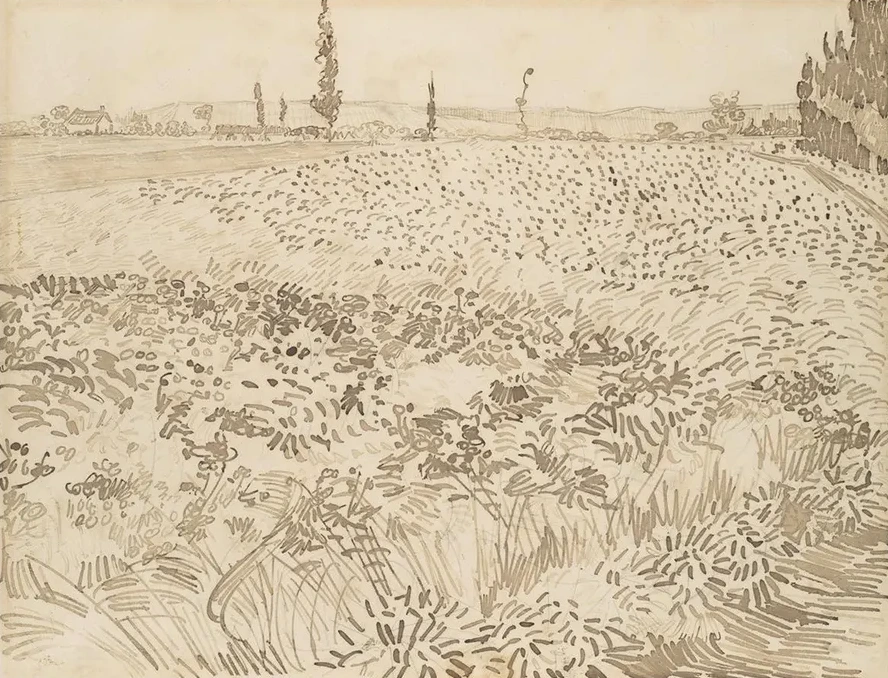 Wheat Field