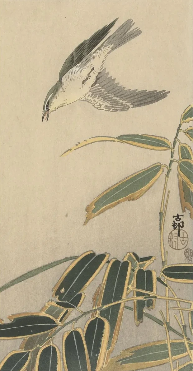 Wheatear with Bamboo