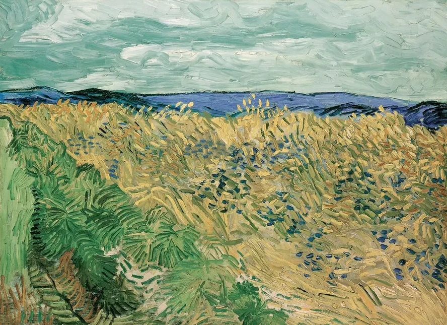 Wheatfield with Cornflowers