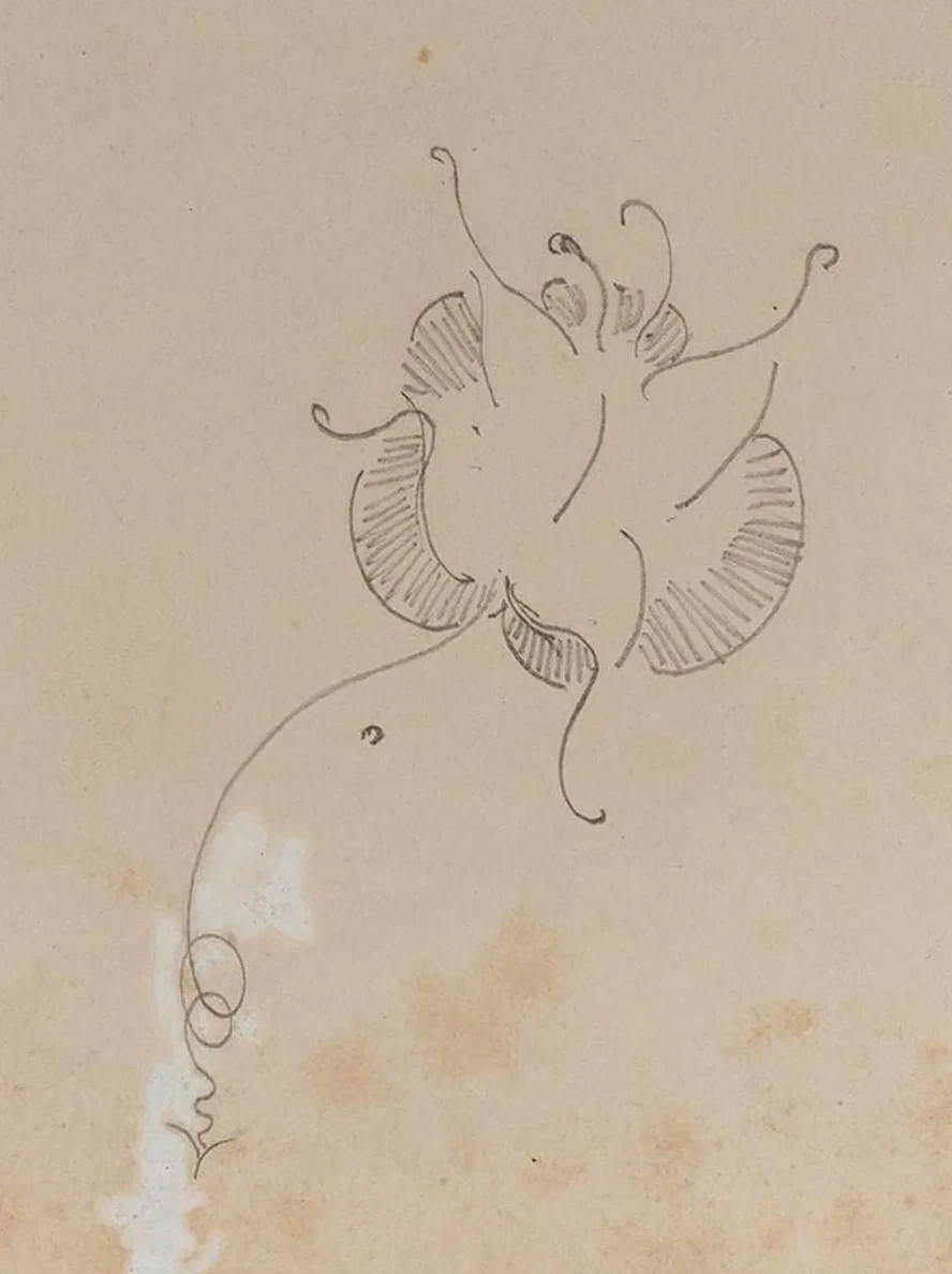 Whistler's Butterfly