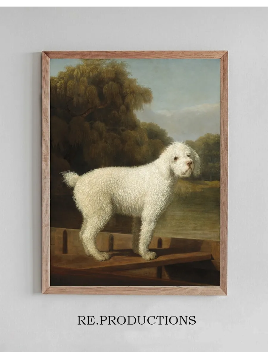White Poodle in a Punt