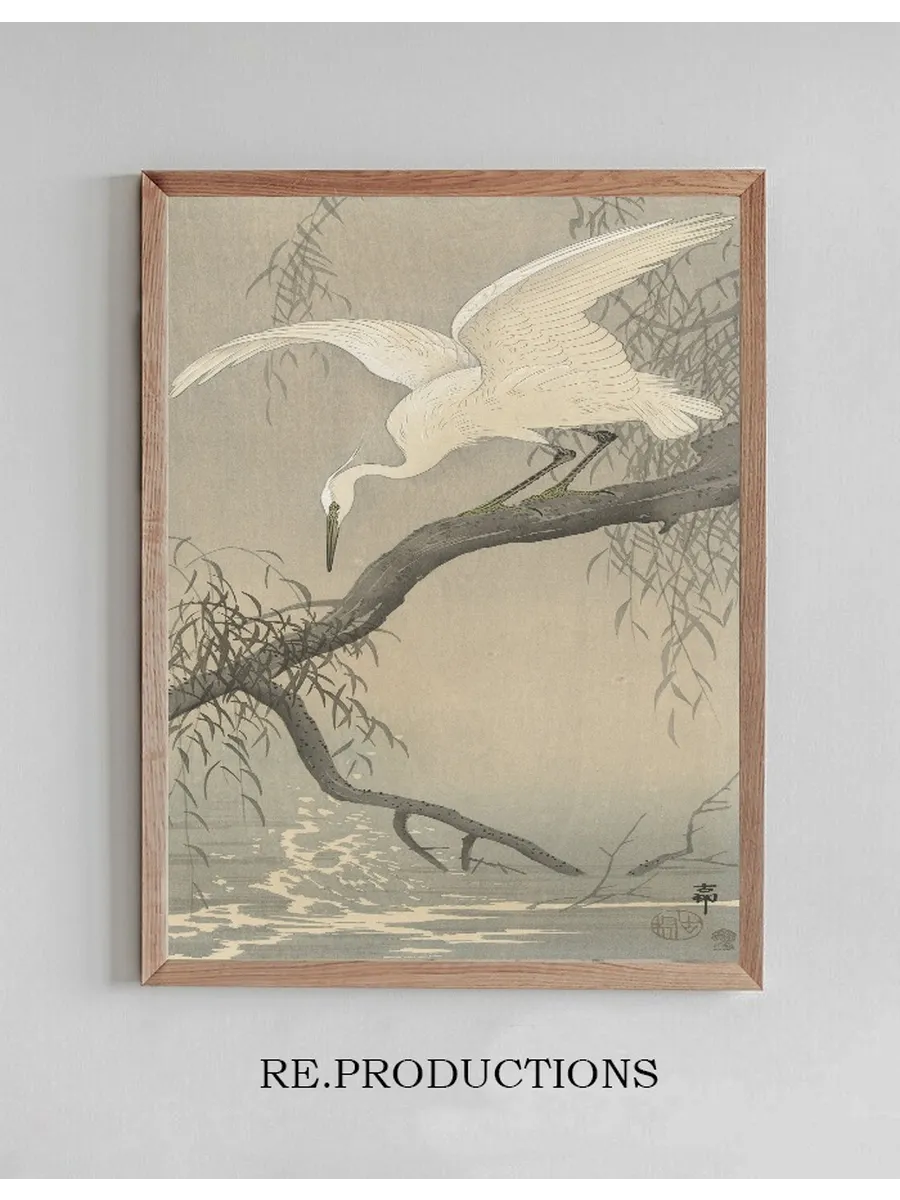 White Heron on Tree Branch