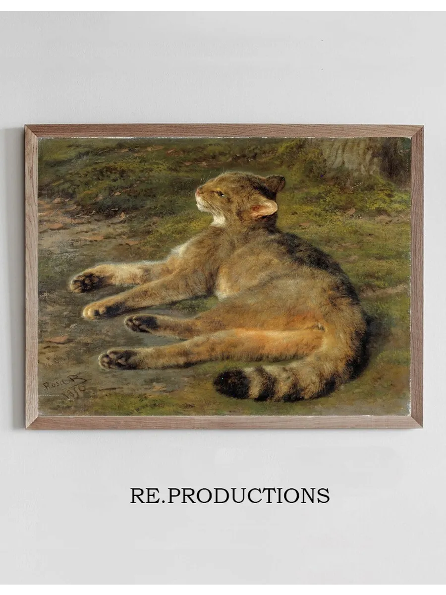 Wild Cat