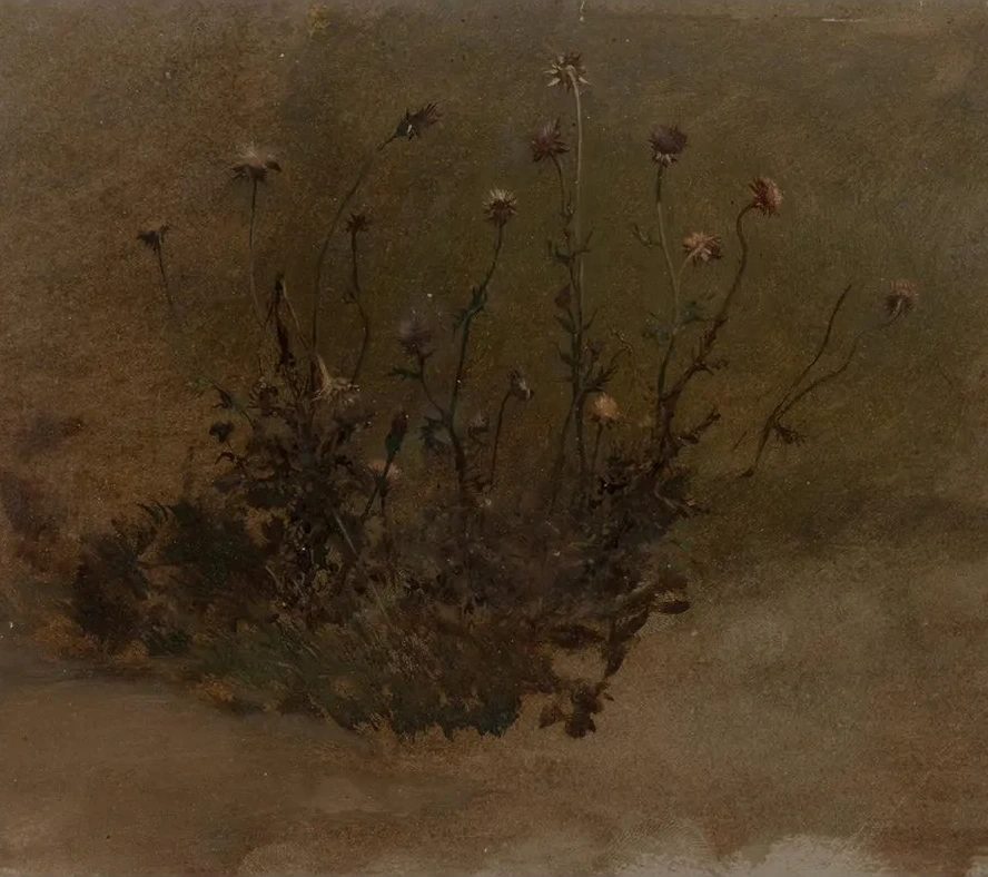 Wild Flowers (Thistles)