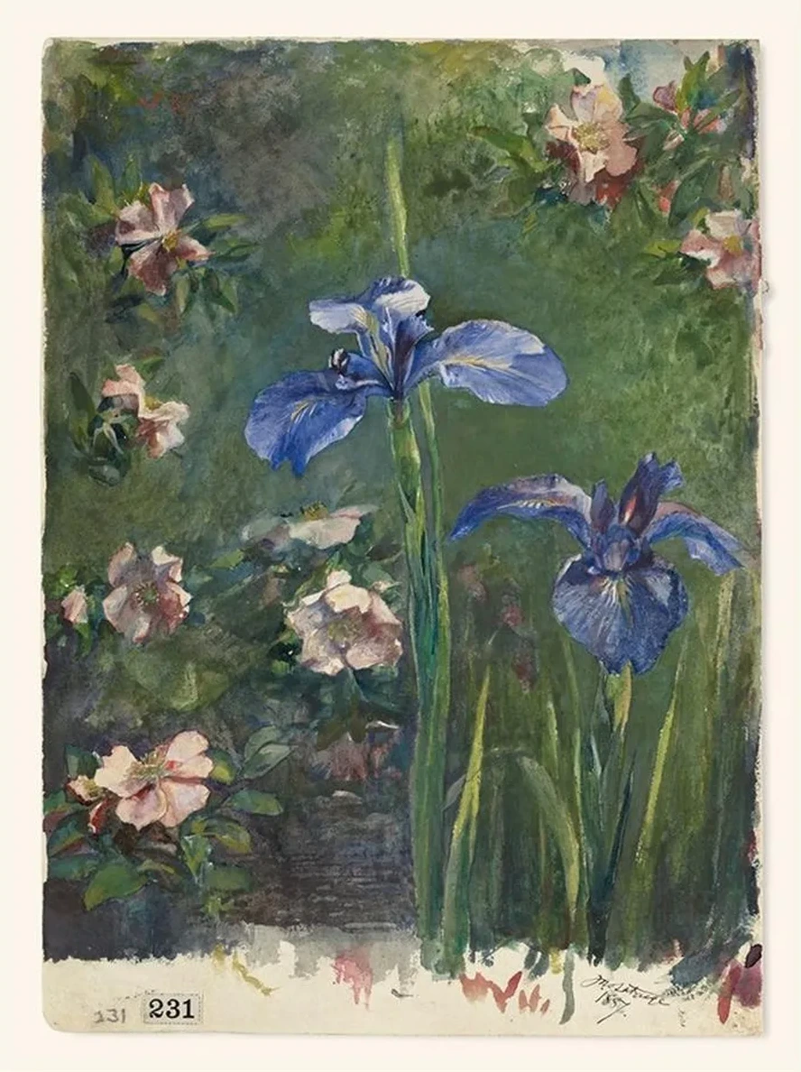Wild Roses and Irises