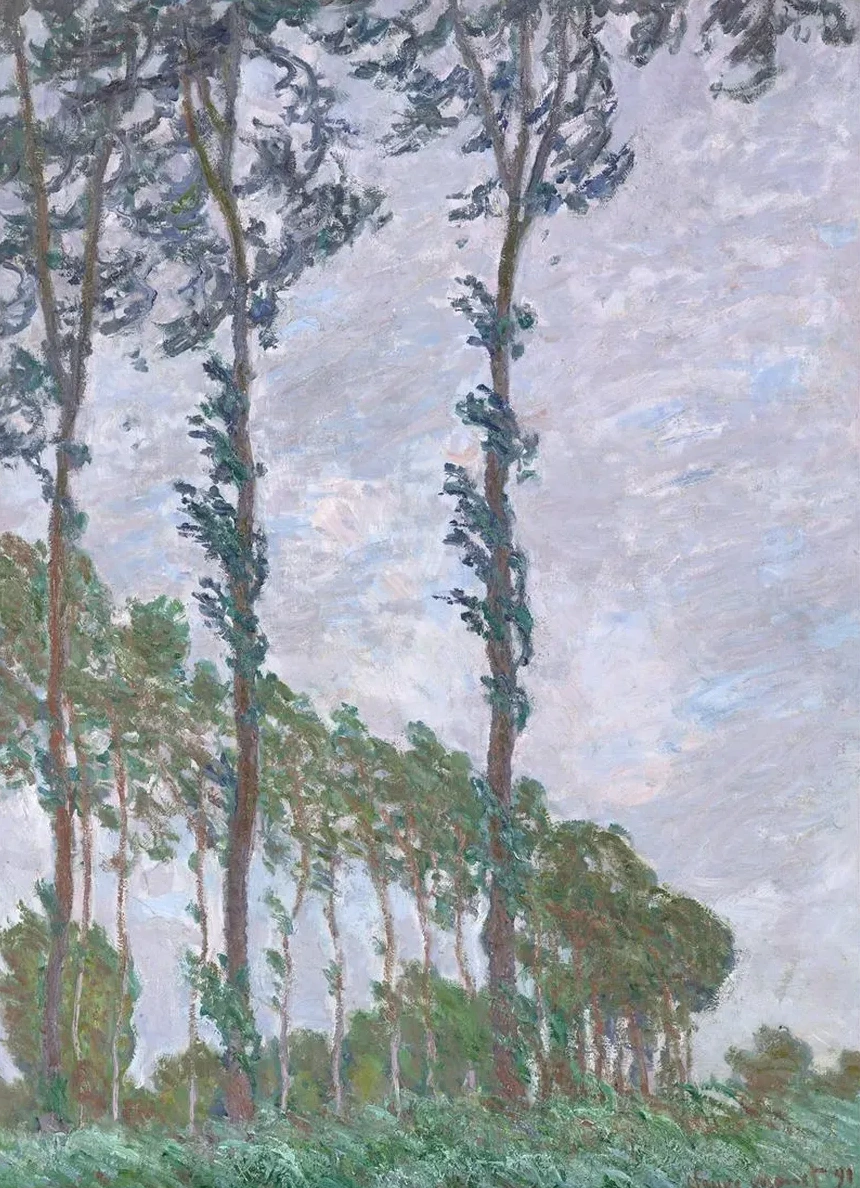 Wind Effect, Series of The Poplars