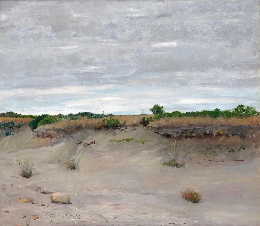 Wind - Swept Sands