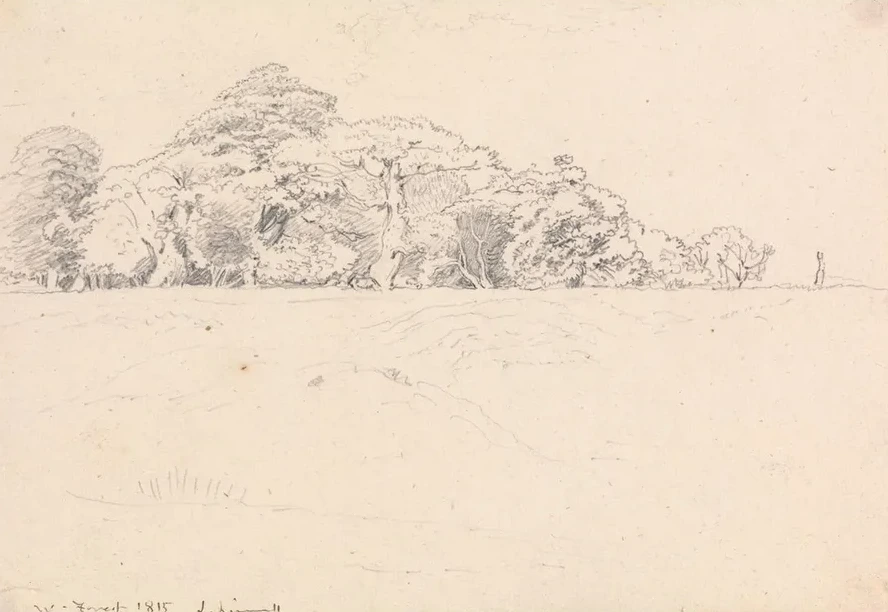 Windsor Forest