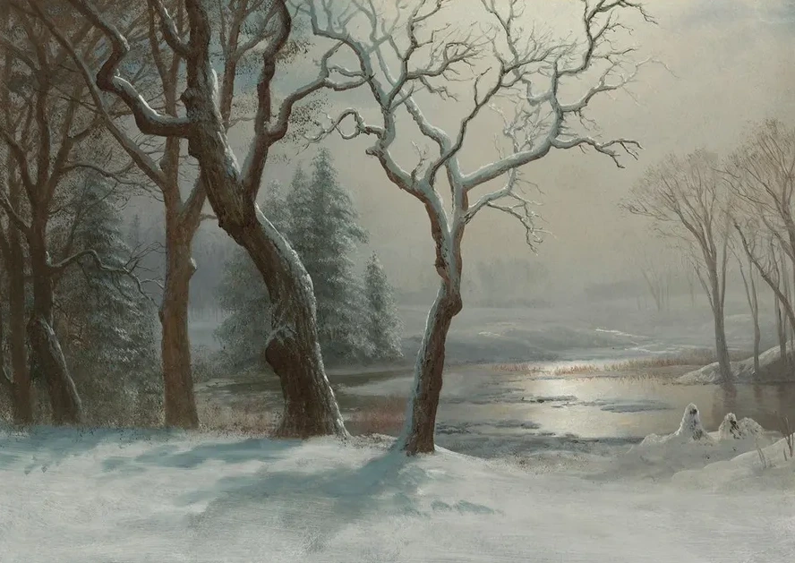 Winter In Yosemite
