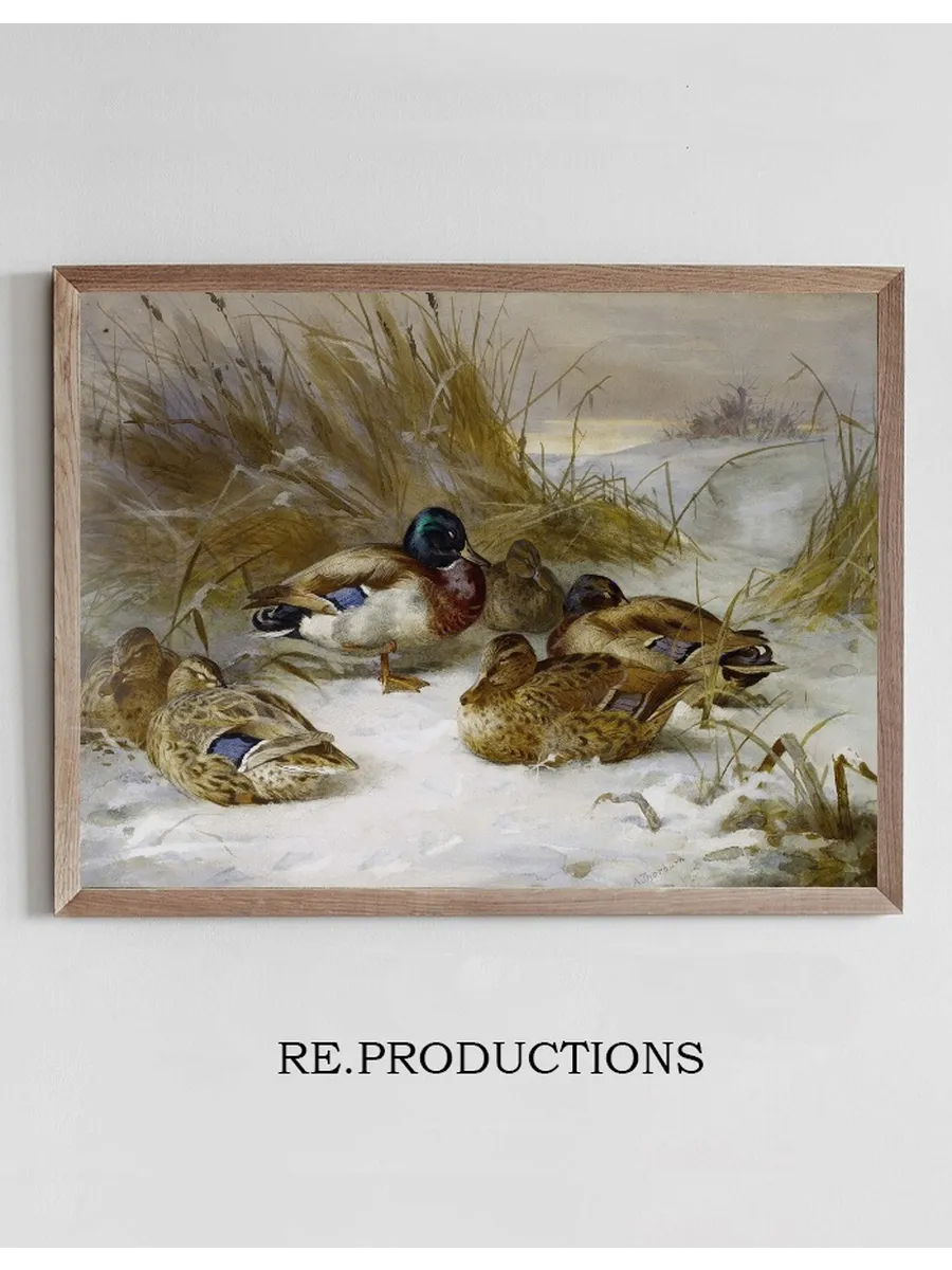 Winter Landscape With Mallard