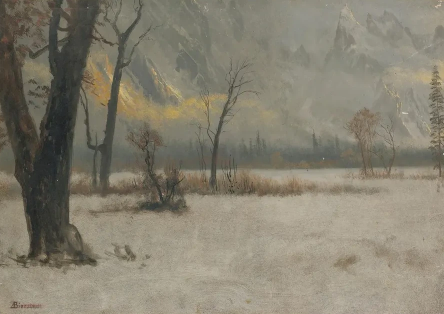 Winter Landscape