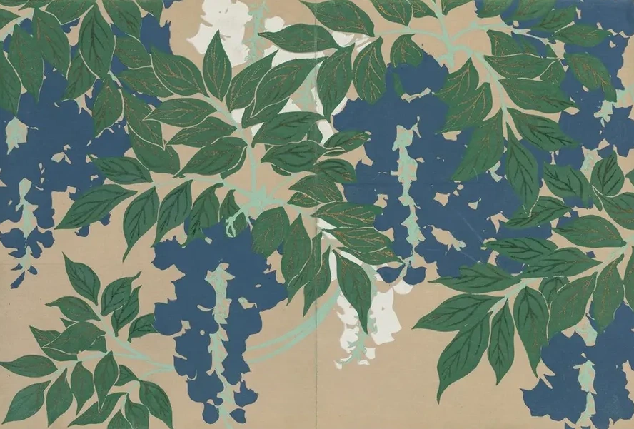 Wisteria (Fuji)