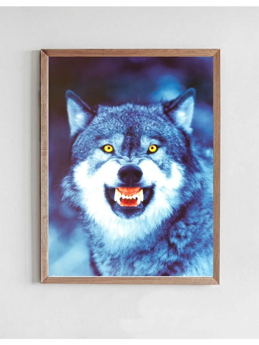 Wolf