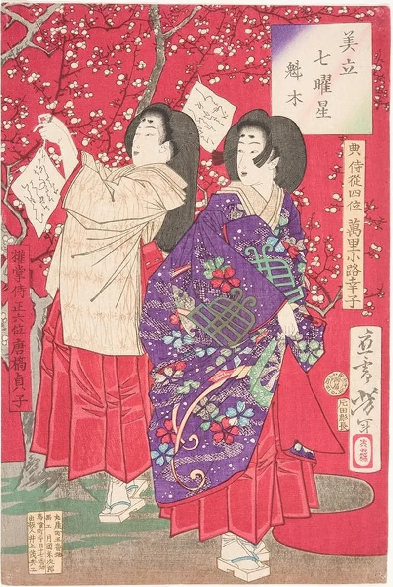 Wood for the Plum Tree