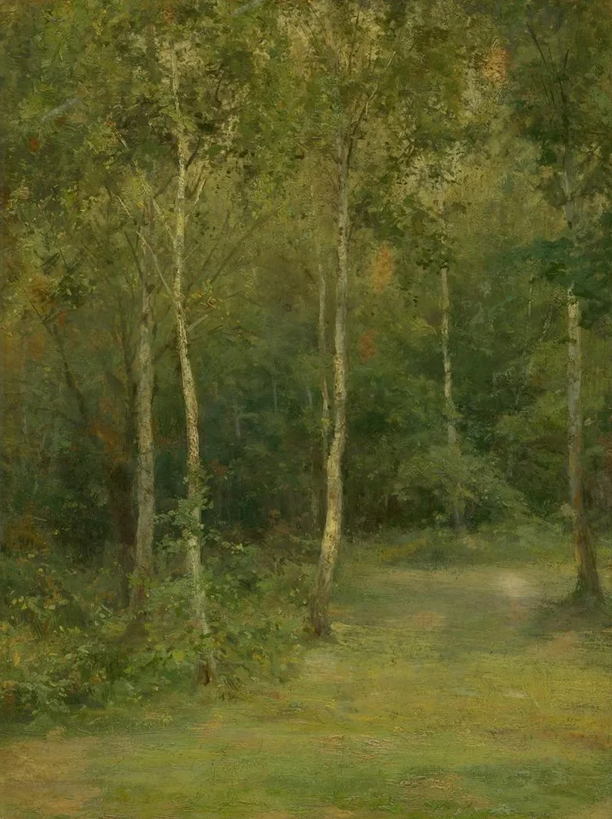 Wooded Landscape With Little Birches
