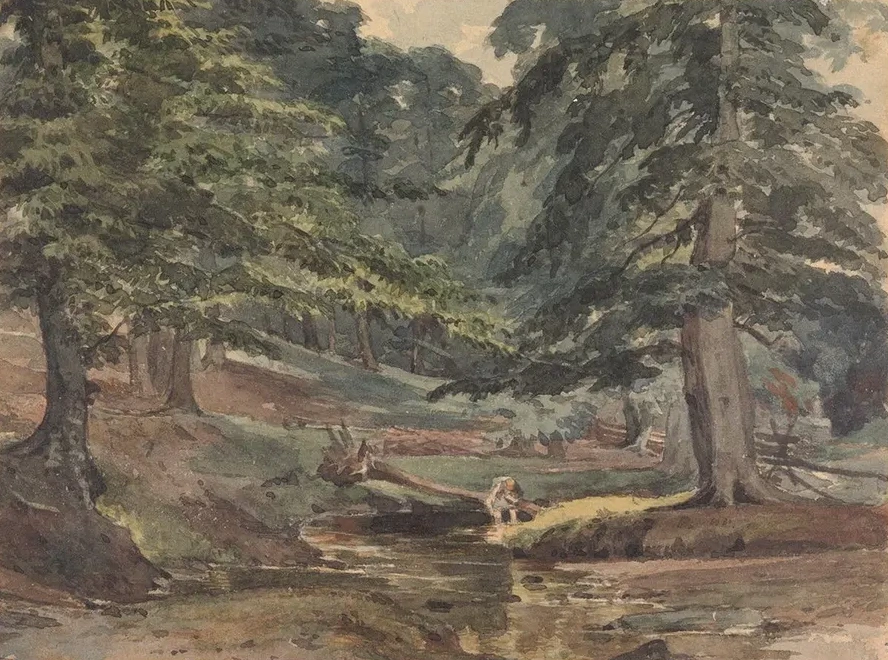Wooded River Scene
