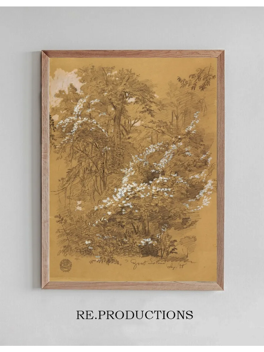 Woodland Scene, Goat Island, Niagara River, New York