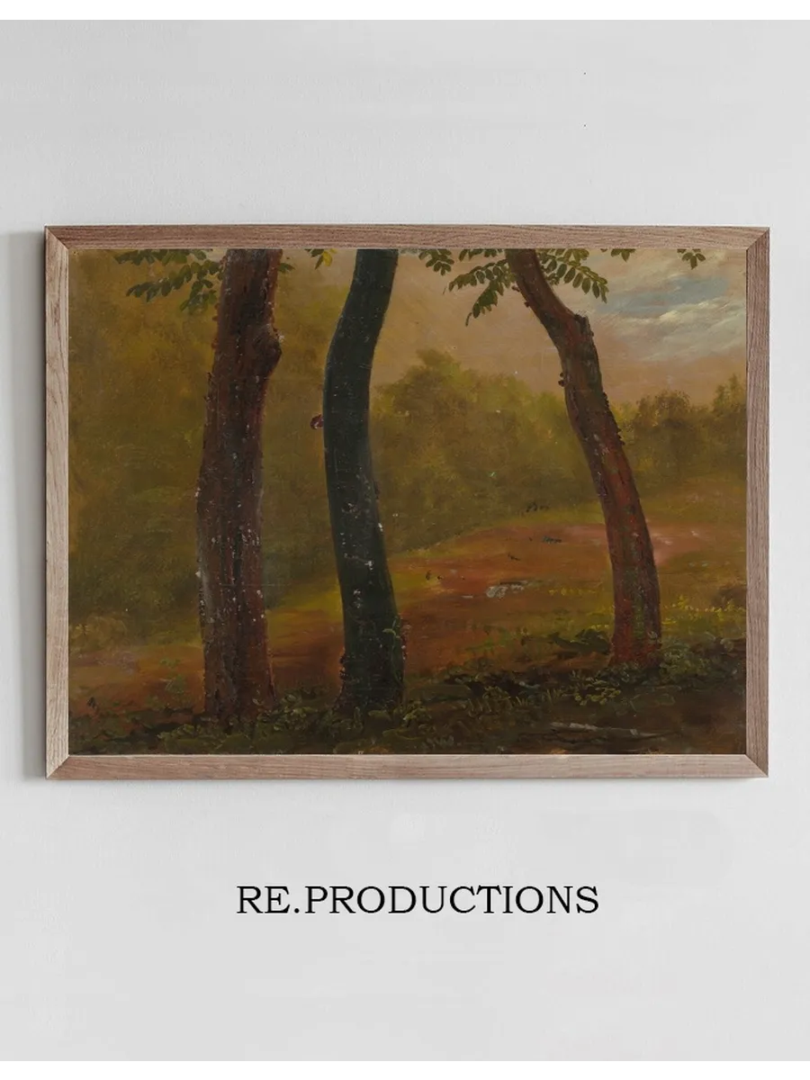 Woodland Scene, Jamaica