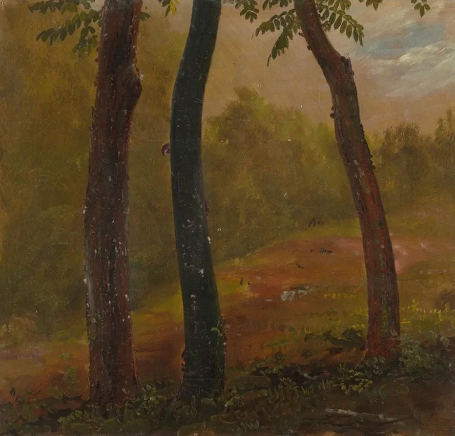 Woodland Scene, Jamaica