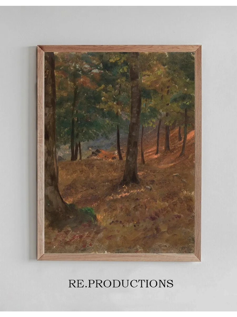 Woodland Scene
