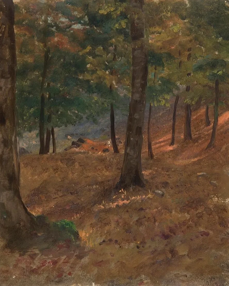 Woodland Scene