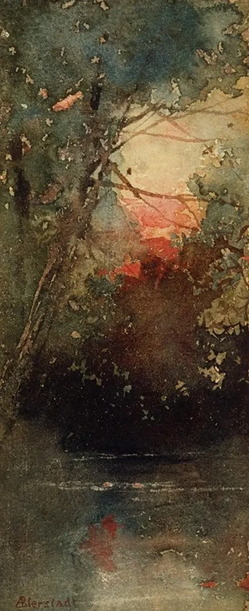 Woodland Sunset